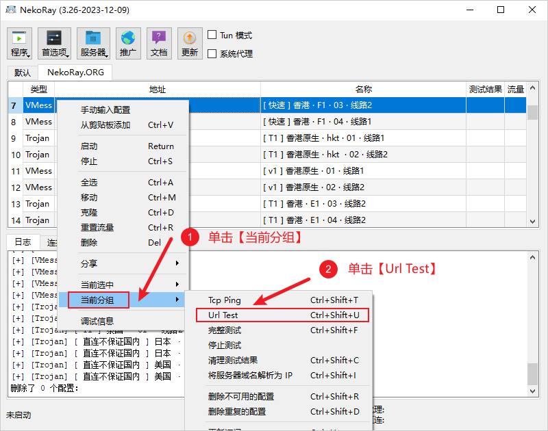 NekoRay节点测试 NekoRay节点测试