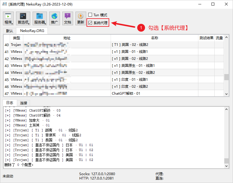 NekoRay开启系统代理 NekoRay开启系统代理
